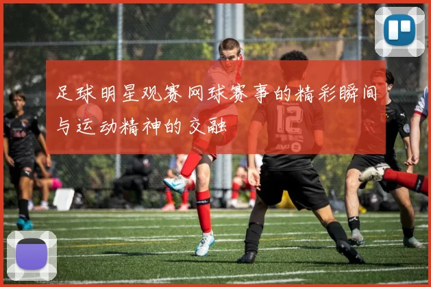 足球明星观赛网球赛事的精彩瞬间与运动精神的交融