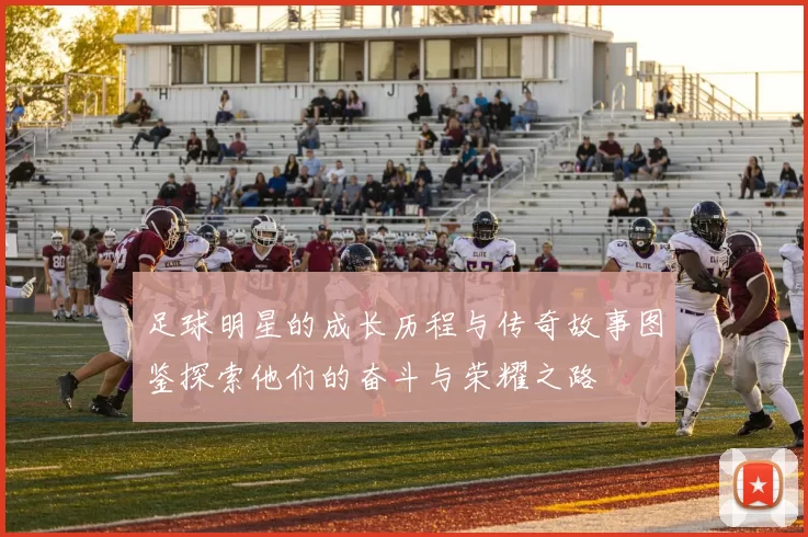 足球明星的成长历程与传奇故事图鉴探索他们的奋斗与荣耀之路